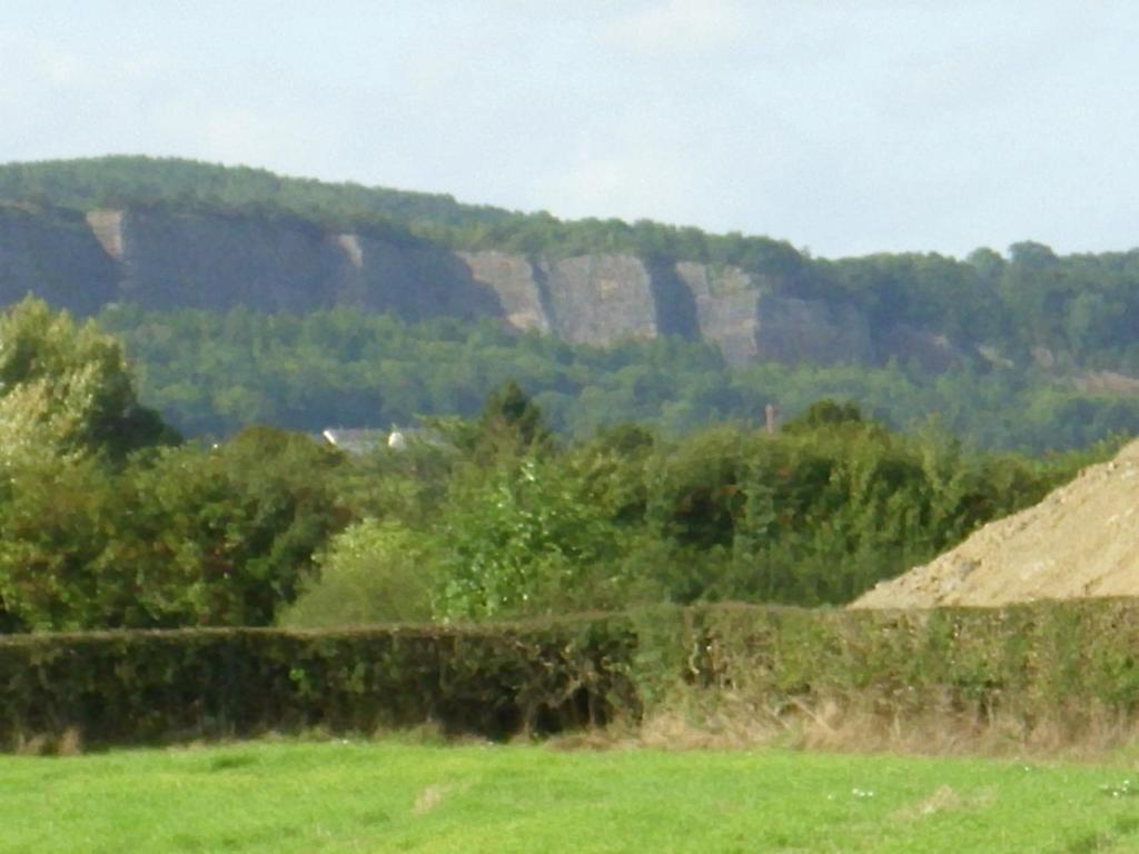 Ty Llew Hotel Llandysilio Bilik gambar
